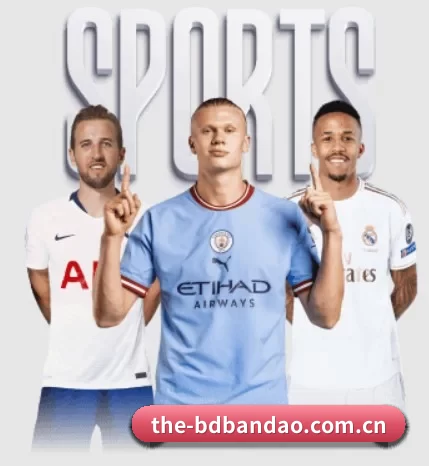 the-bdbandao.com.cn五大内容板块,覆盖赛事直播与实时比分